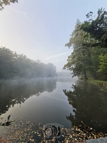 Schloss Park Saßleben – Bild